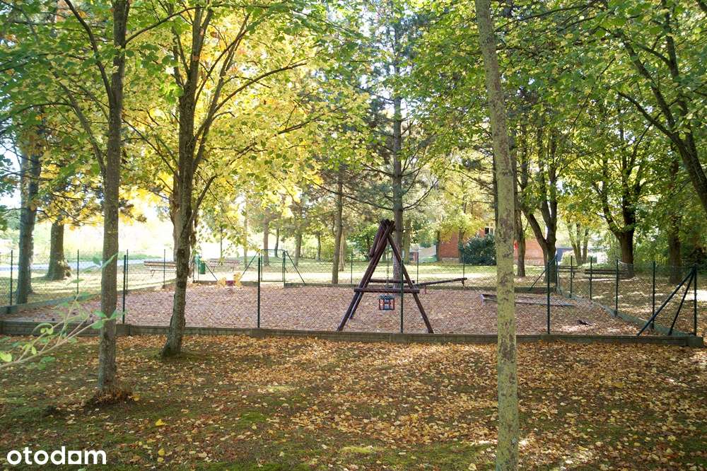 Piechcin/ 48,3m2 / 1 PIĘTRO / 2 DUŻE POK/ Piękna zielona okolica - Pełny obrazek: 5/13