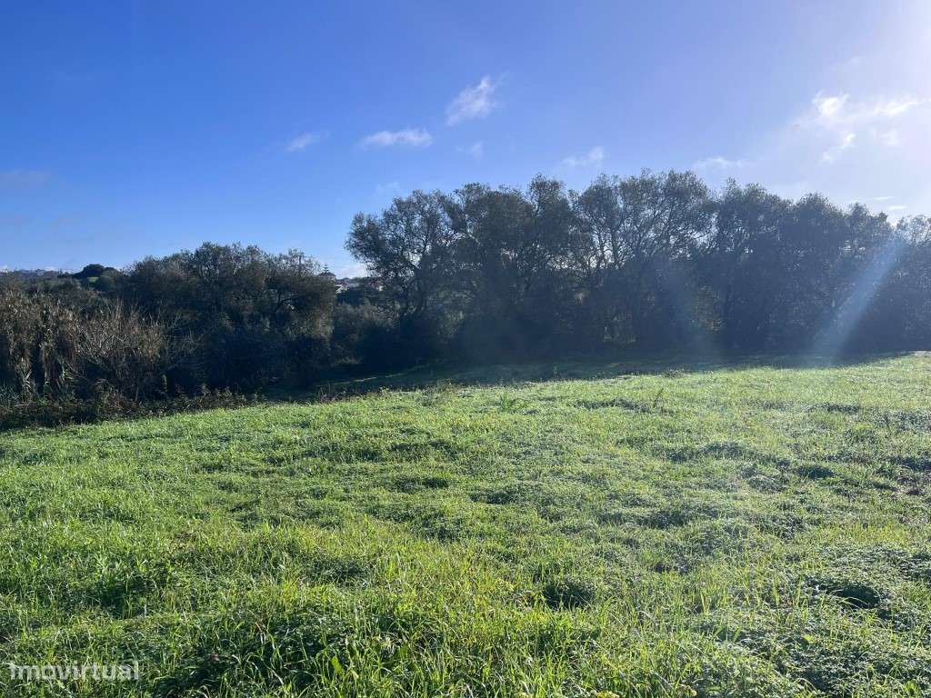Terreno Urbanizável Zambujal - Grande imagem: 5/6