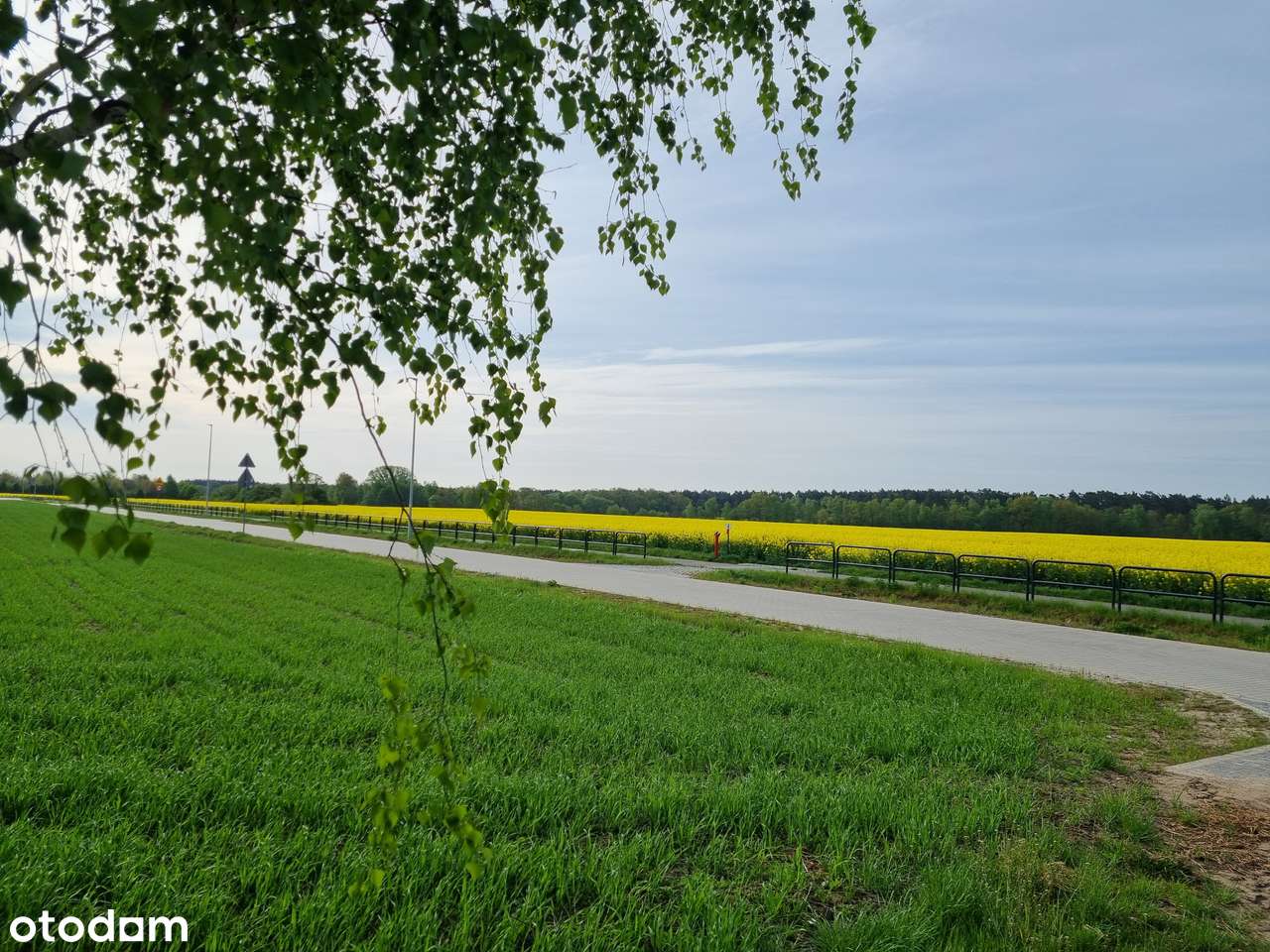 Działka - Osielsko/Żołędowo przy lesie z możliwością podziału