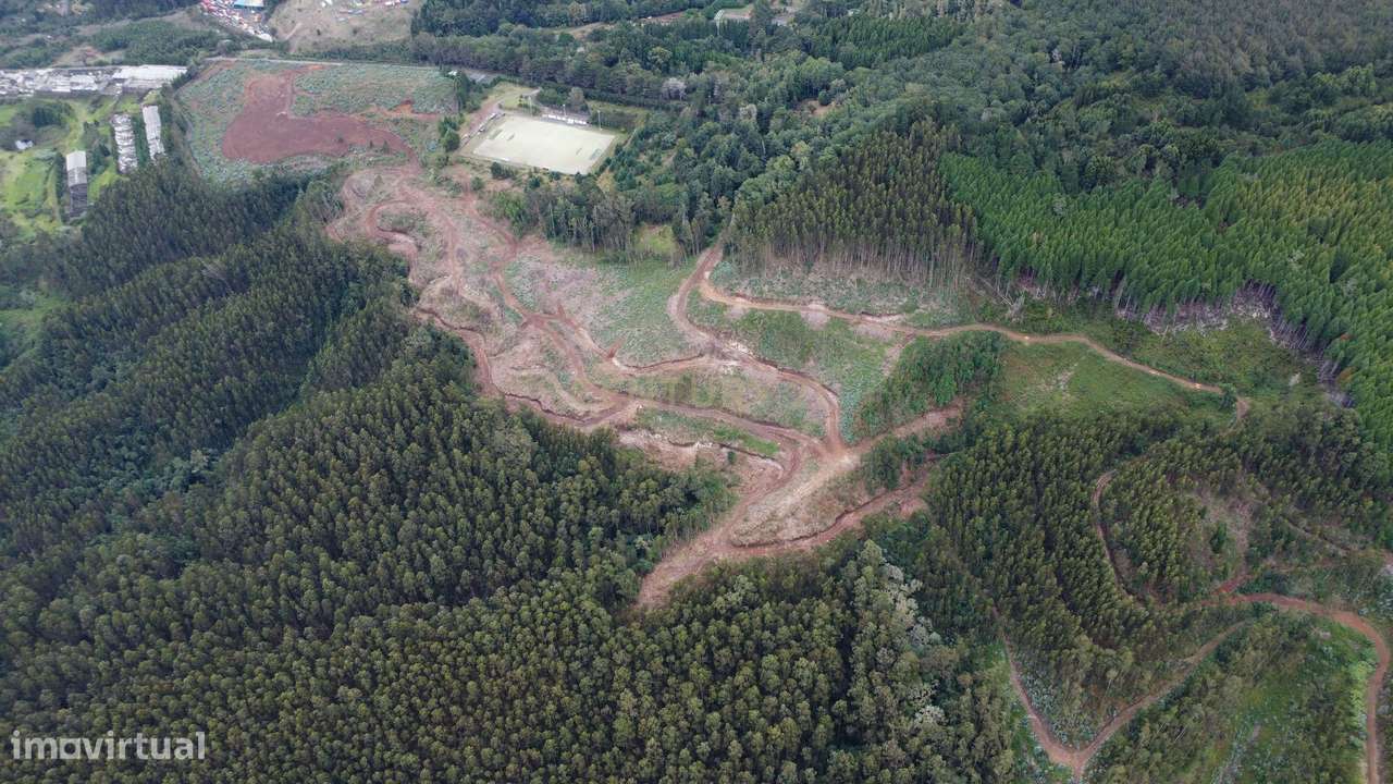 Terreno - Santo António da Serra - Santa Cruz - Grande imagem: 4/20