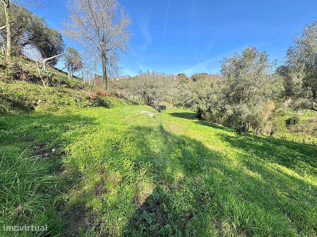 Terreno  para venda-12