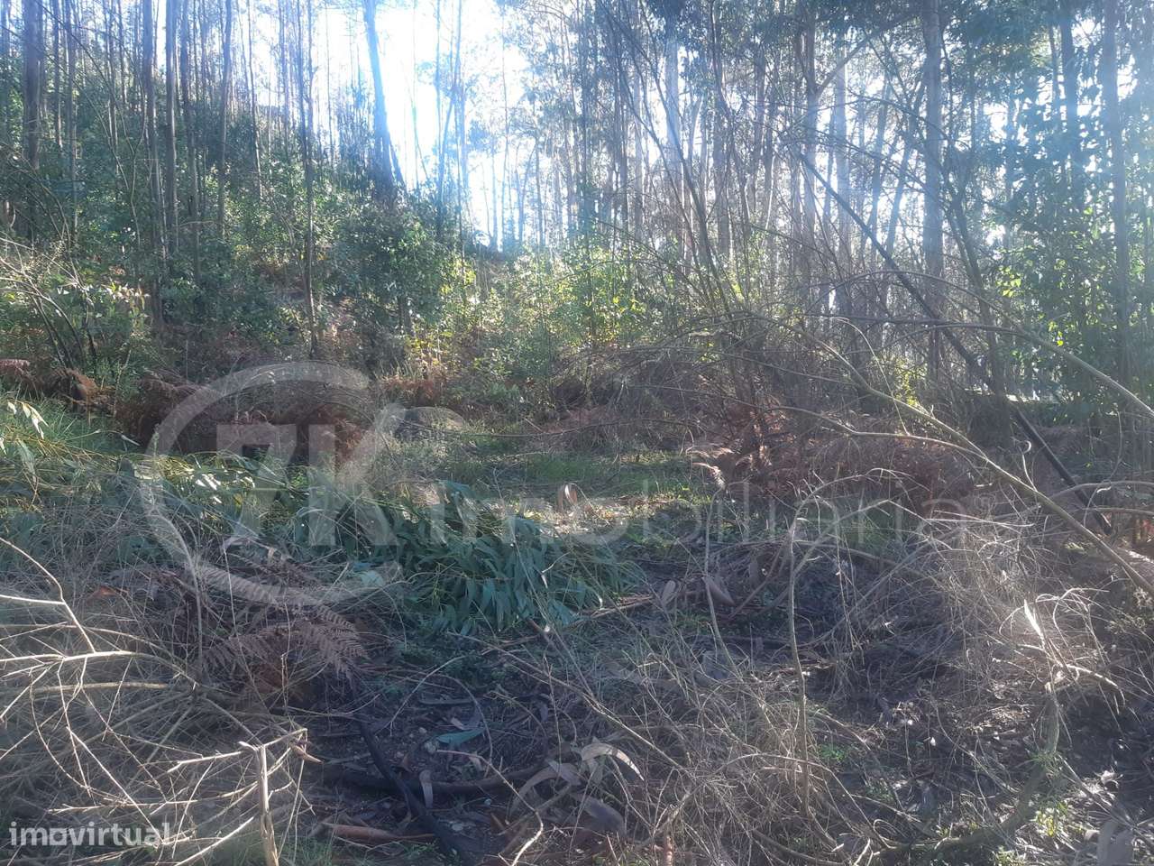 Terreno em Penhalonga-9