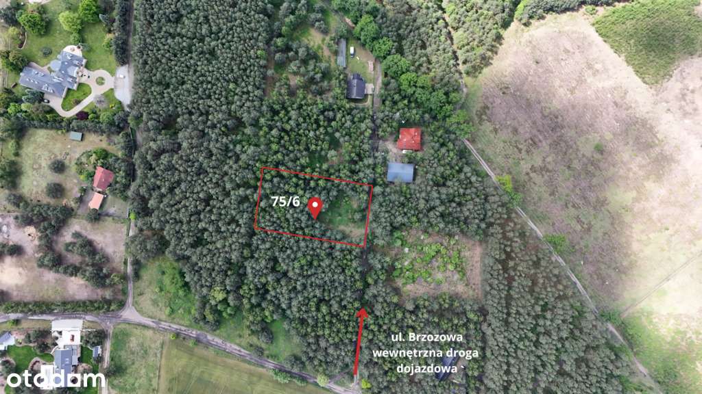 Zamieszkaj w rytmie natury – działka marzeń-2