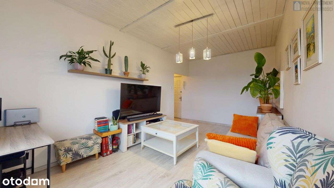 2 pok.|centrum|do wprowadzenia|wszędzie blisko-3