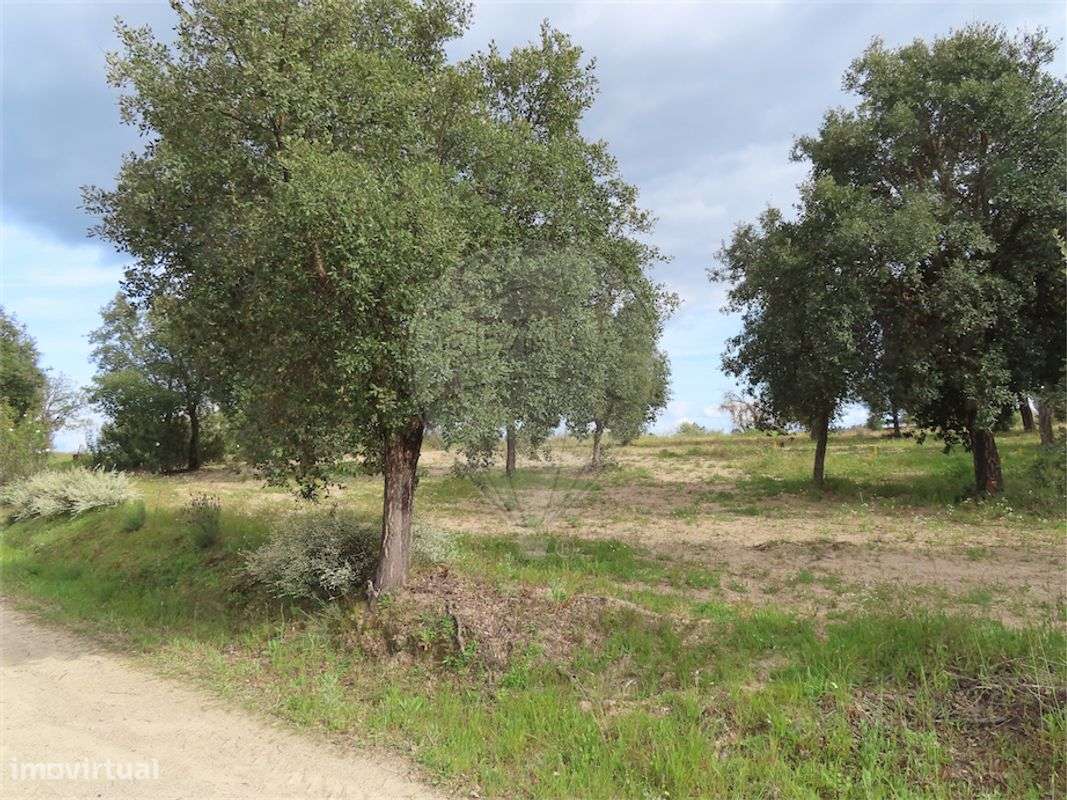 Quinta  para venda - Grande imagem: 2/23