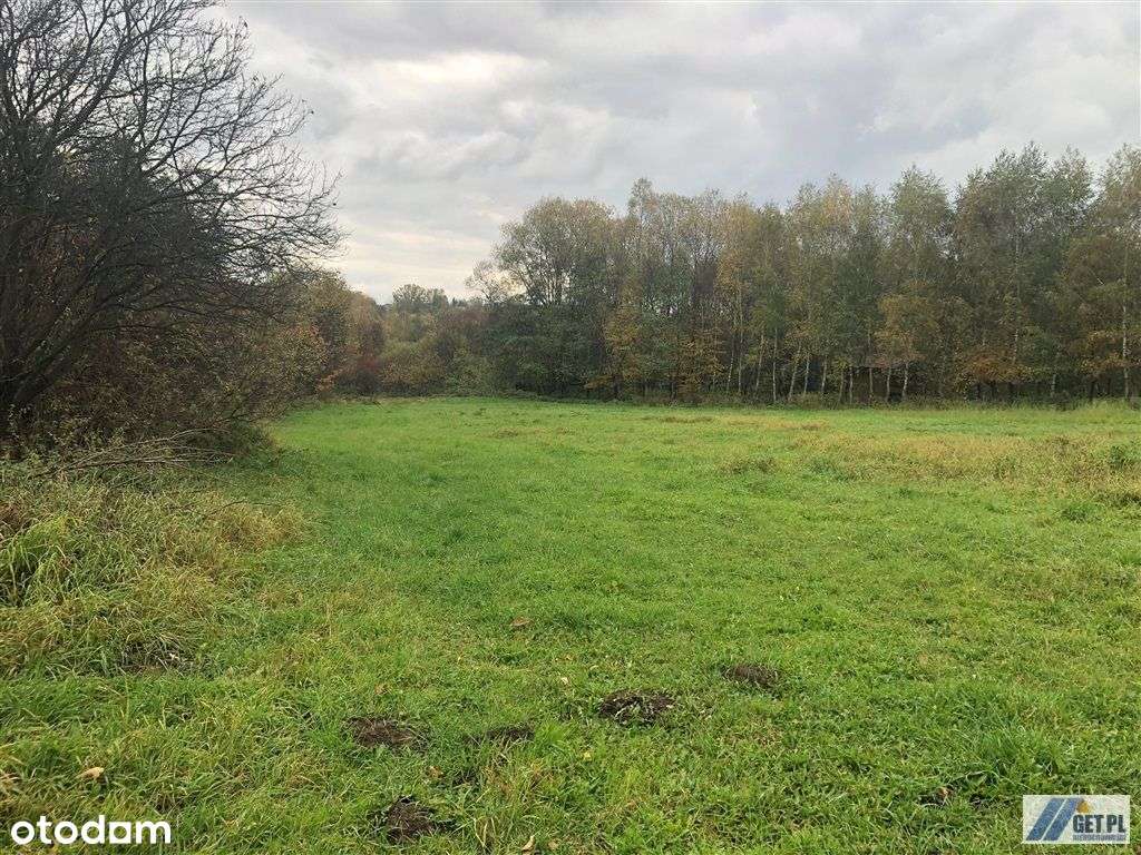 Działka budowlana, inwestycyjna w Lusinie - Pełny obrazek: 4/6