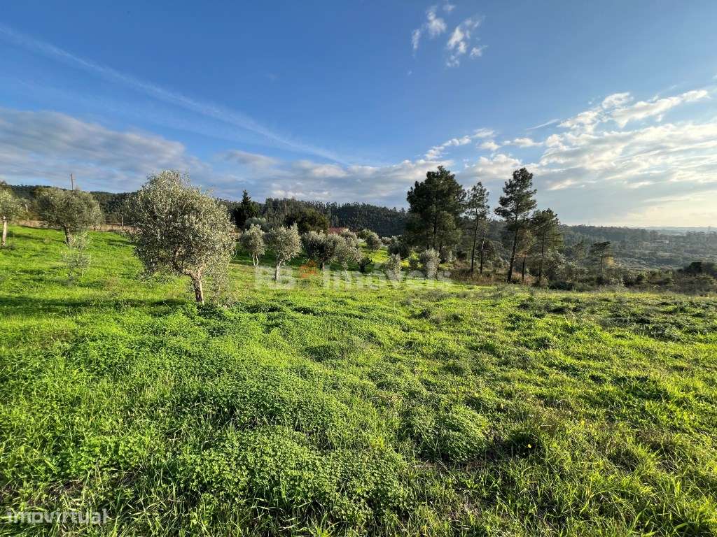 Terreno com PDM com 14240 m2 - Carril, Tomar - Grande imagem: 4/18