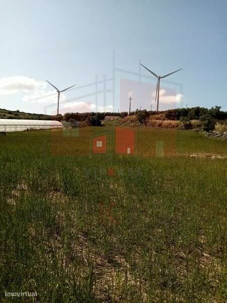 terreno rustico em Fontelas , com 1200 m2. - Grande imagem: 2/3