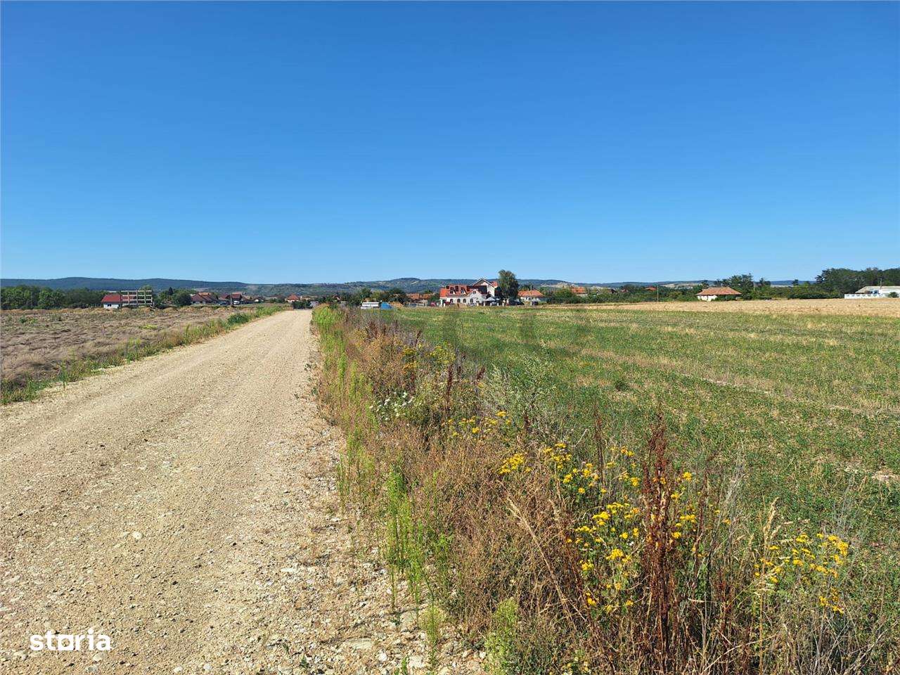 Reco, Teren intravilan Osorhei - Imagine principală: 2/8