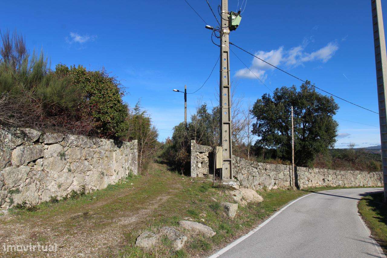 Magnífica Quinta com 11ha - Fornos de Algodres - Grande imagem: 2/11