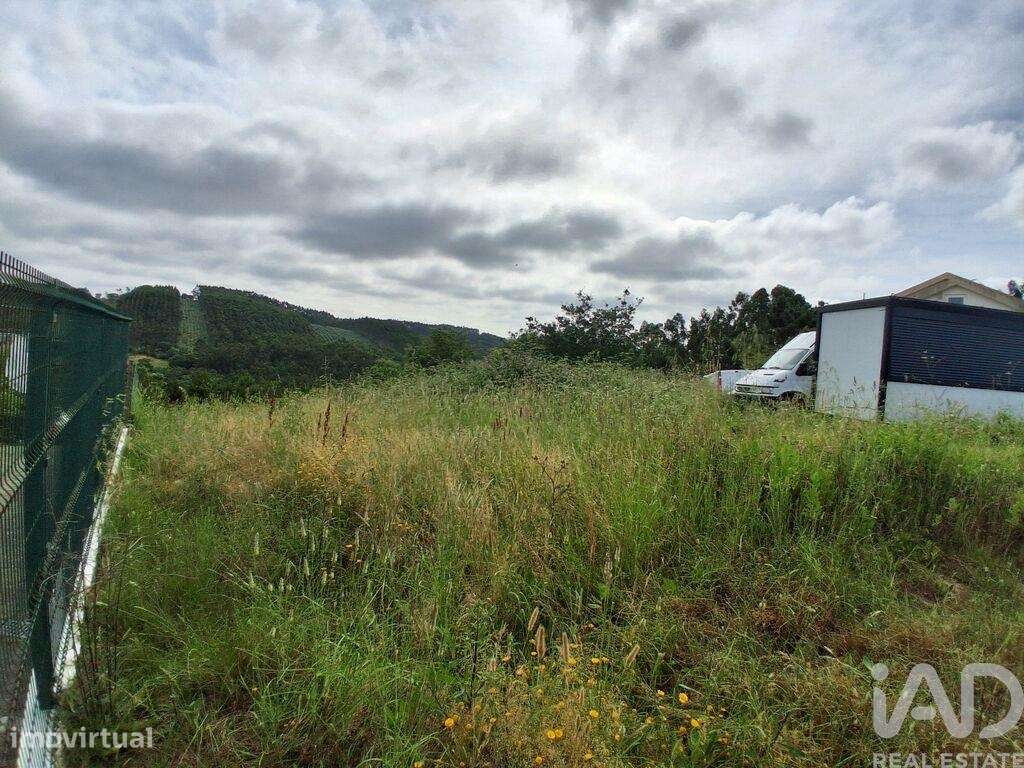 Terreno para construção em Caldas da Rainha - Nossa Senhora do Pópulo, - Grande imagem: 4/13