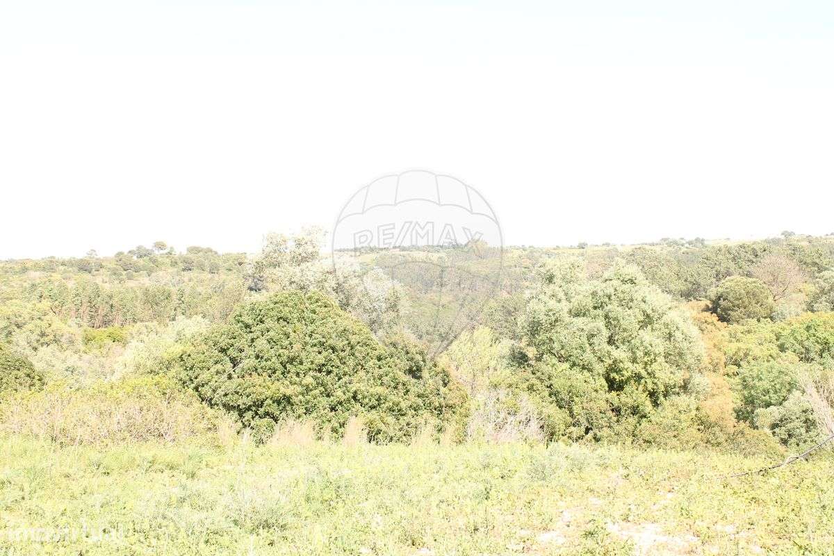 Terreno  para venda - Grande imagem: 5/26