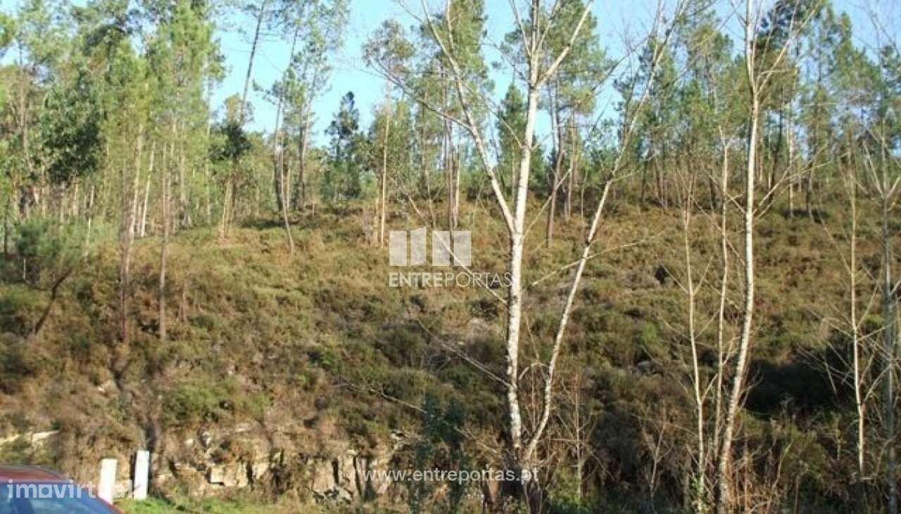 Venda lote de terreno, Paraíso, Castelo de Paiva - Grande imagem: 5/8