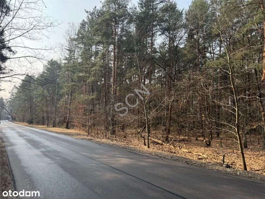 Leśna z prawem zabudowy w Radości! - Pełny obrazek: 4/7