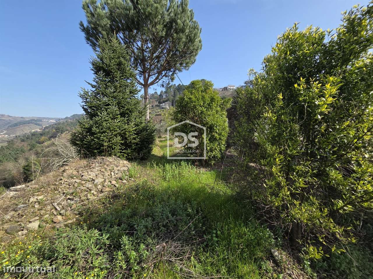 Moradia T1 Venda em Moura Morta e Vinhós,Peso da Régua - Grande imagem: 4/20