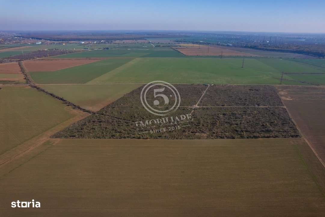 Ocazie- Teren Intravilan de Vanzare- Peris Snagov- Doar 10 euro/mp-13