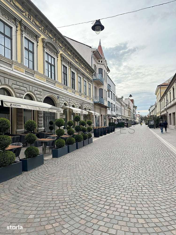 Apartament ultracentral pe Vasile Alecsandri Pietonala - Imagine principală: 2/10