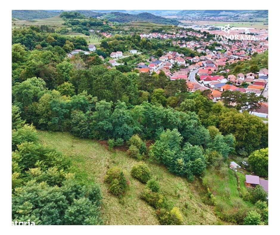 Teren intravilan de aproape 3 ha la liziera pădurii | cartierul Gloria - Imagine principală: 4/9