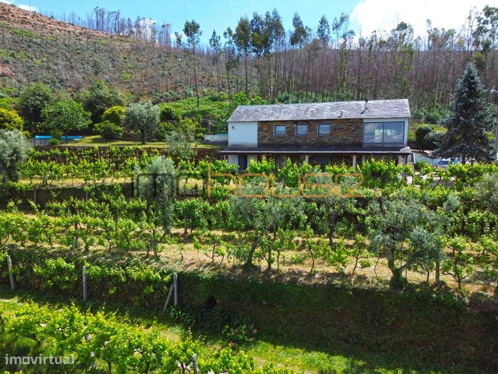 Quinta agrícola - 45 minutos do Porto-8