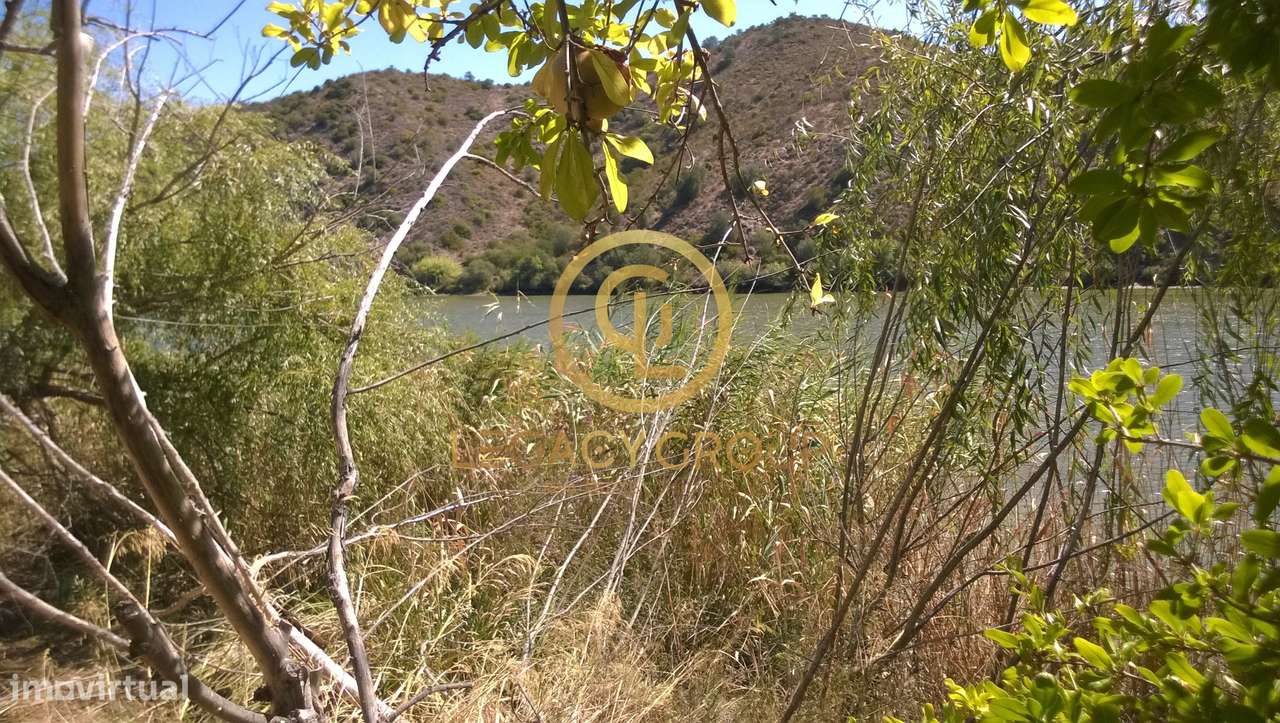 Terreno Deslumbrante Rio Guadiana – Alcoutim - Grande imagem: 3/25