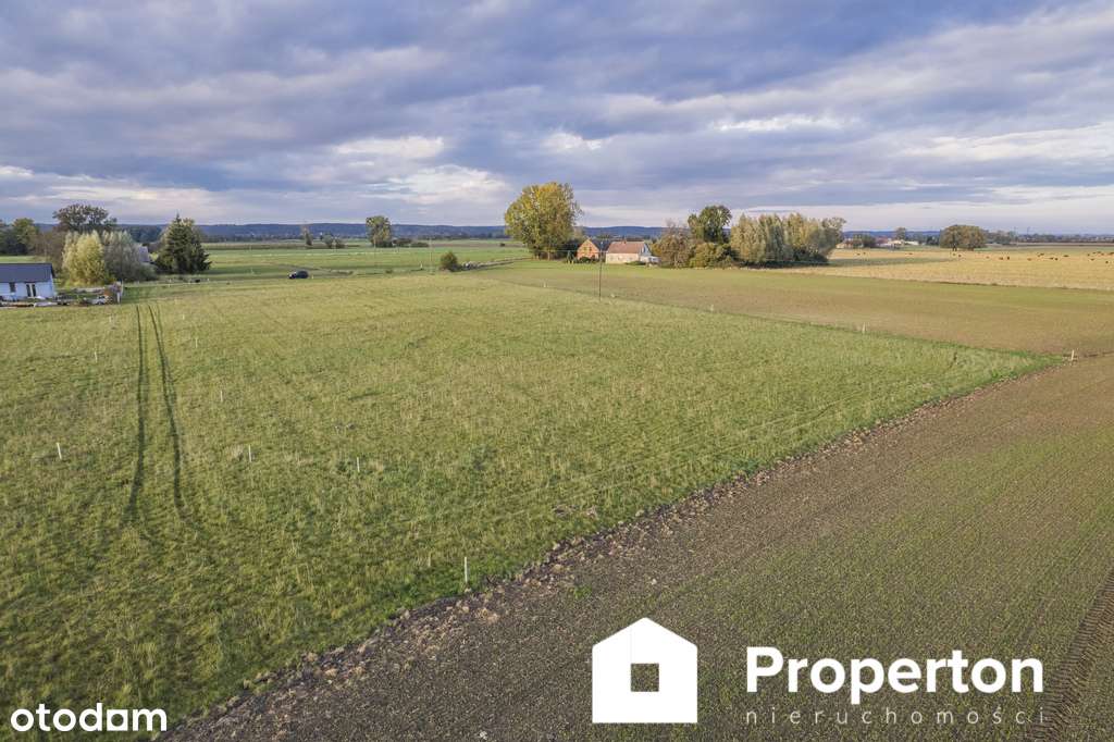 Działka 18,69a z warunkami zabudowy - Pełny obrazek: 5/16