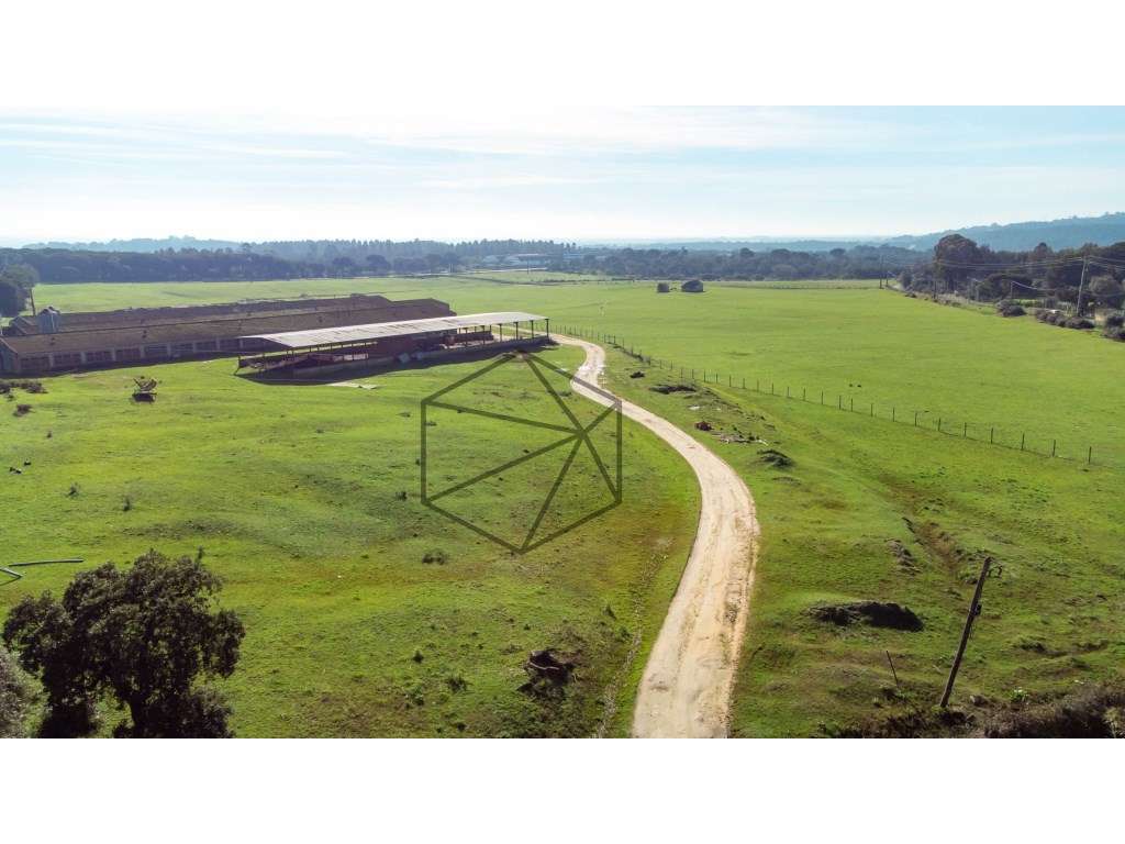 Lote de terreno para parque industrial com 20 hectares - Grande imagem: 5/24