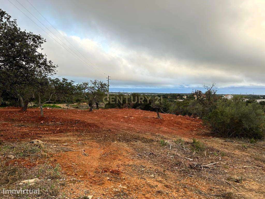 Terreno 14520m2 em Falfosa , Faro - Grande imagem: 3/4