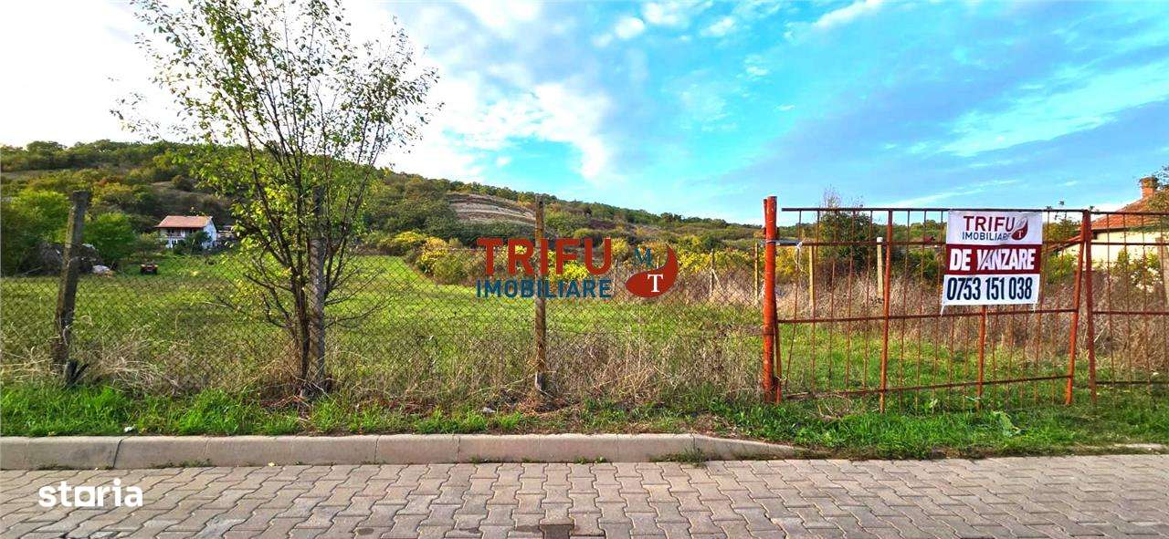 Teren de vanzare Valea Popi - Imagine principală: 5/6