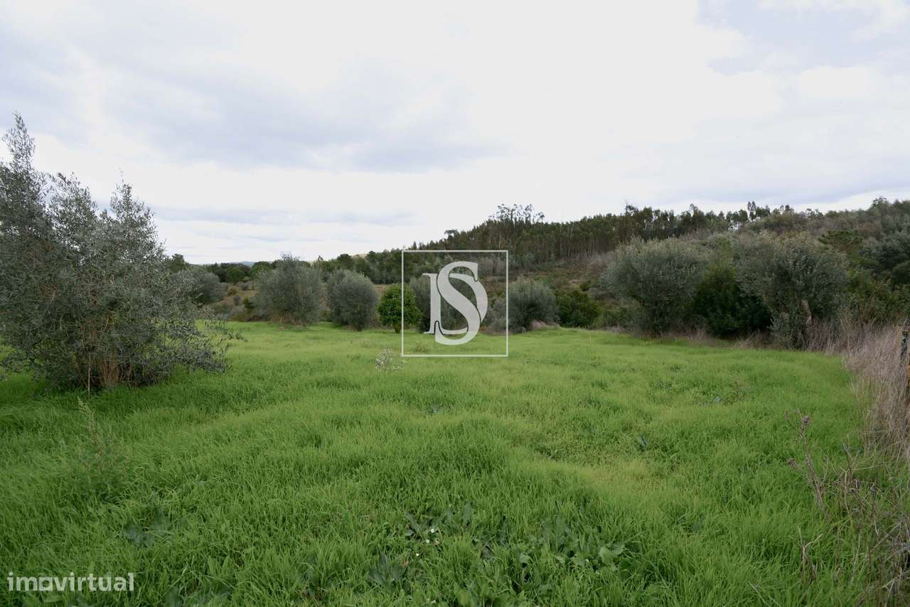 Terreno Urbano Linhaceira Tomar-4