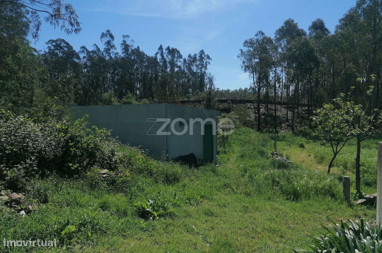 Terreno rústico com 5.670 M2 em Fradelos V.N. Famalicão - Grande imagem: 5/16
