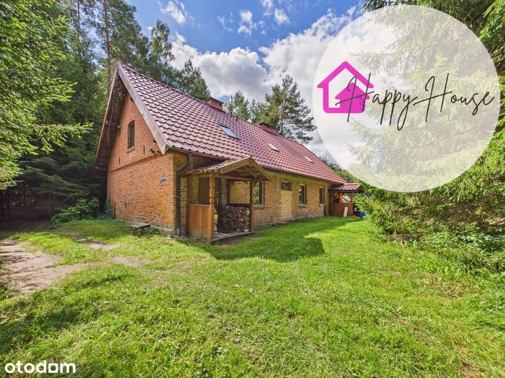 Dom w środku lasu, Nowy Młyn,