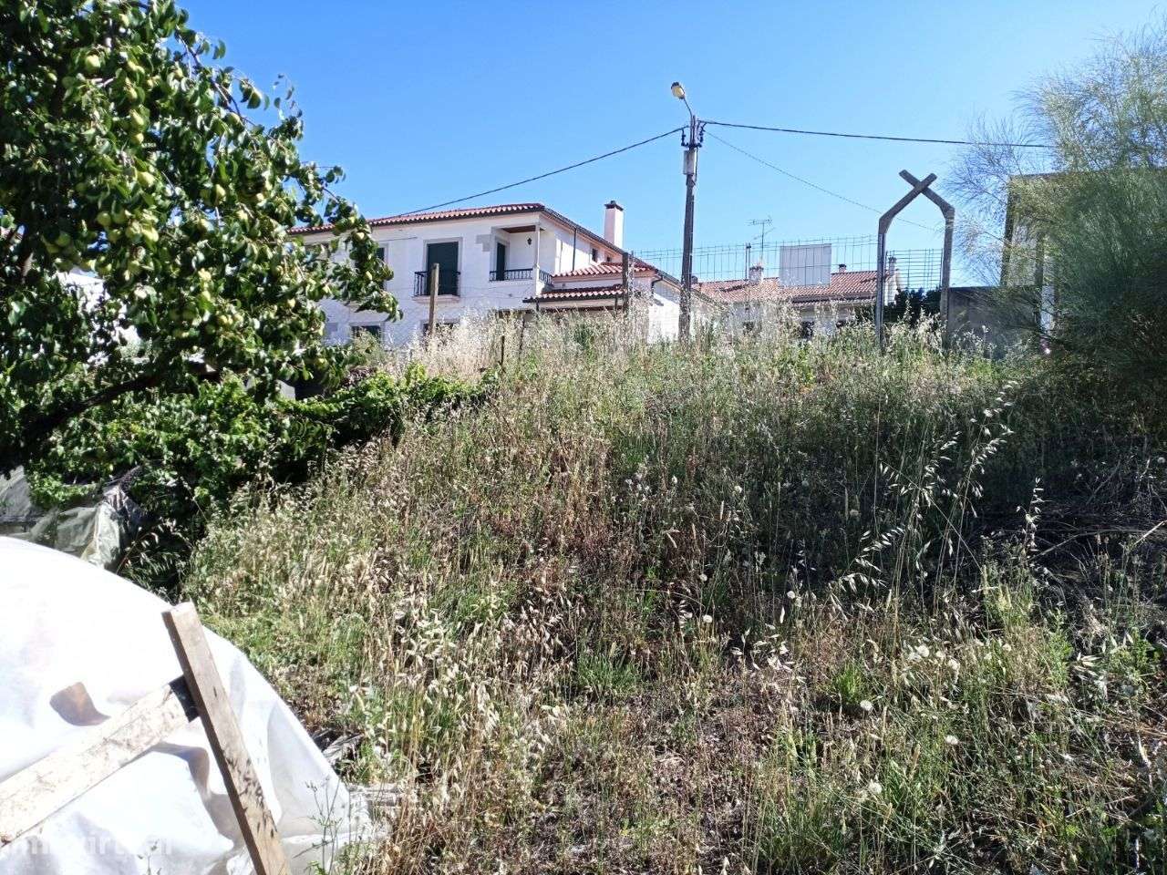 Lote - Grande imagem: 2/3