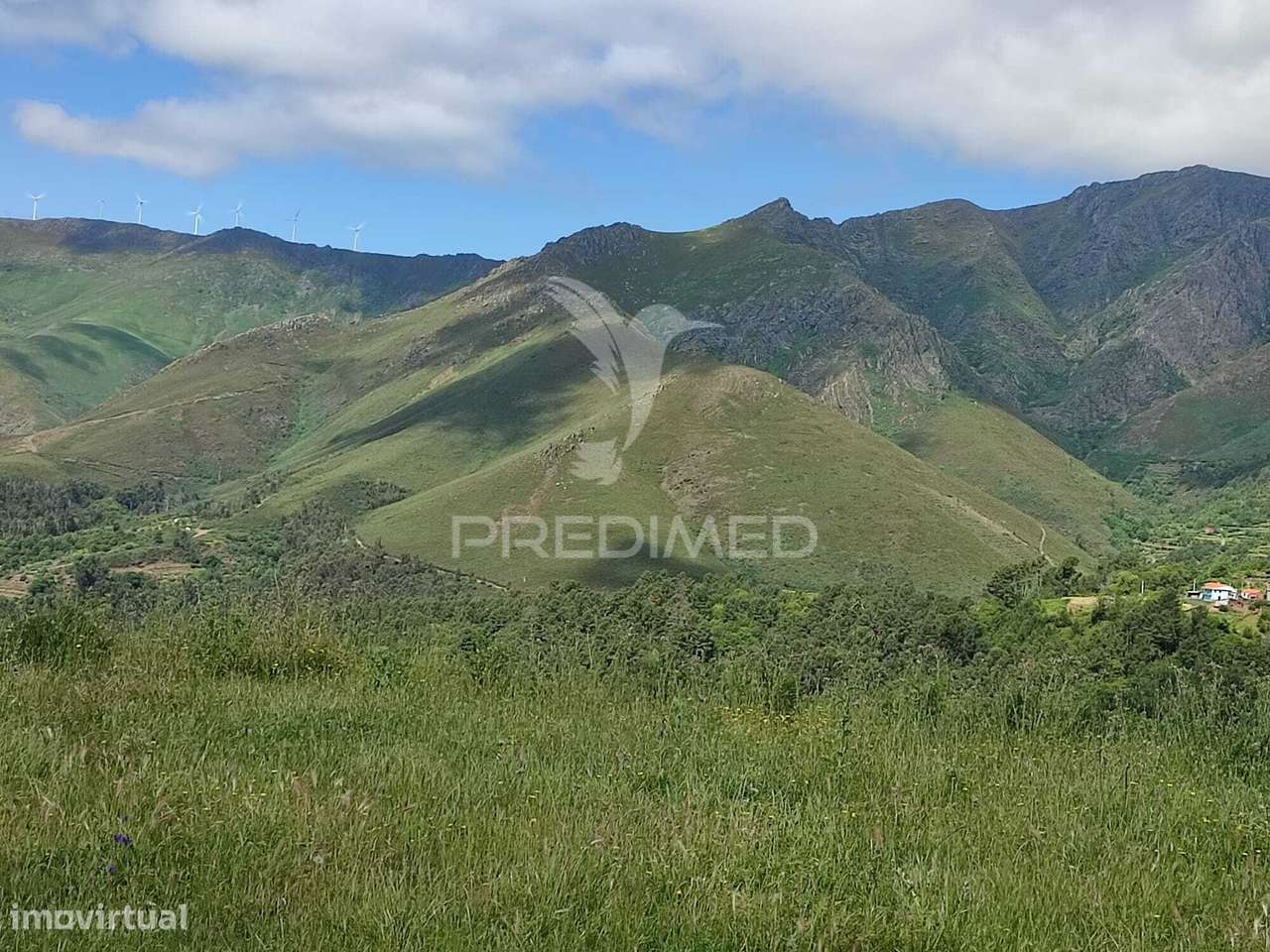 Terreno com ruinas - Grande imagem: 3/29