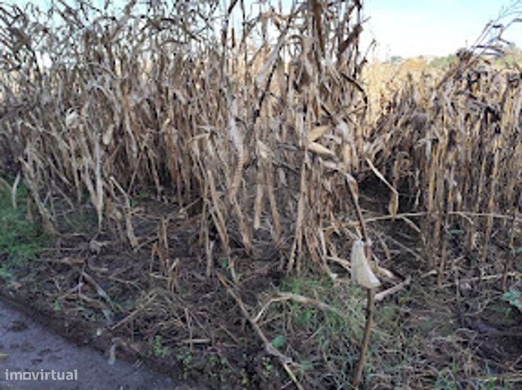 Terreno  para venda - Grande imagem: 4/4