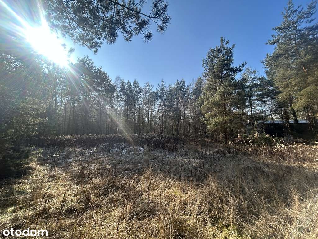 Zamieszkaj w rytmie natury – działka marzeń-0