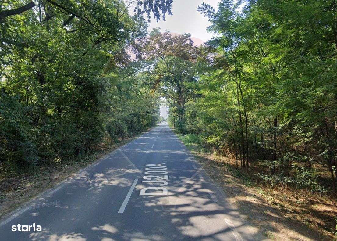 Teren 10,000mp Afumati | Padure | Soseaua Petrachioaia - Imagine principală: 5/6