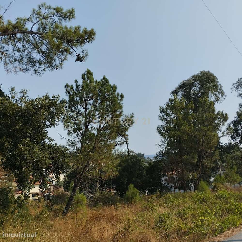 Terreno Agroflorestal || Sobral - Grande imagem: 5/13