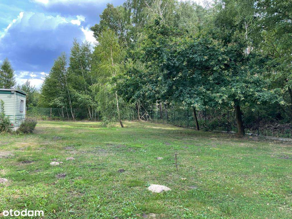 Działka rekreacyjna 1460 Feliksów Uzbrojona Las Cisza Duży Ogród MPZ - Pełny obrazek: 3/8