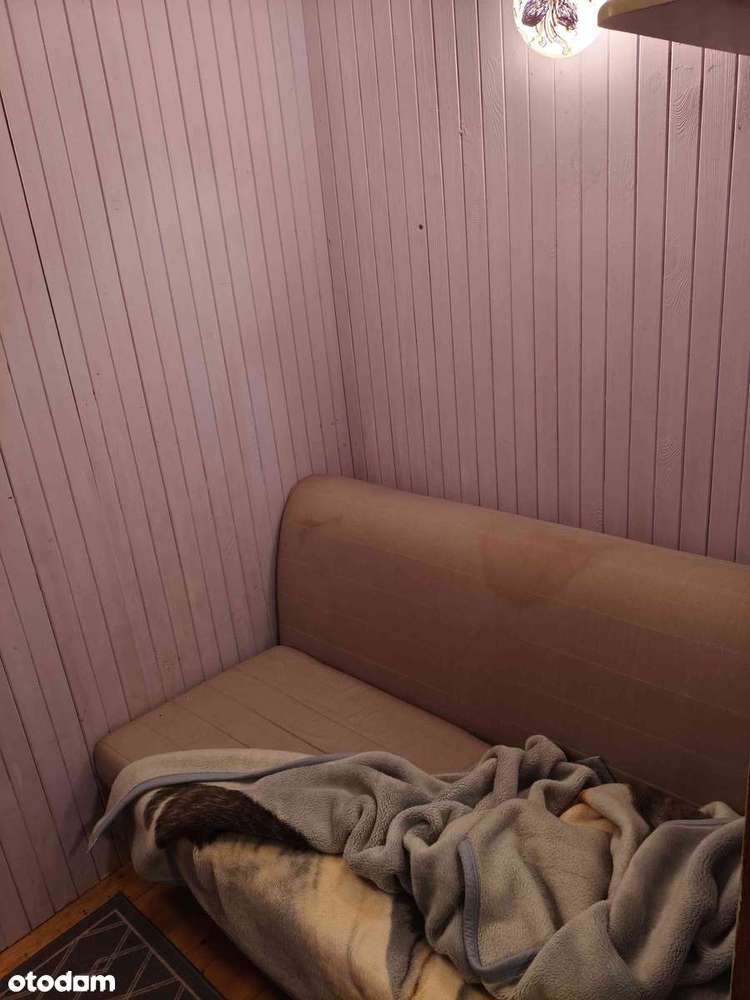 Działka rekreacyjna w Żurczynie!! Z basenem!! Prąd i woda całorocznie!-7