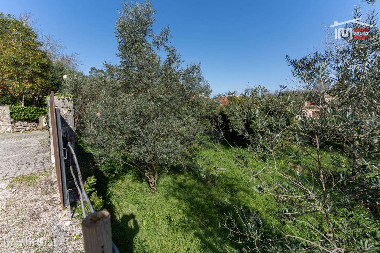 TERRENO PARA CONSTRUÇÃO COM AREA DE 1460 M2 EM ALDEIA DA PIA DURSO ... - Grande imagem: 5/11