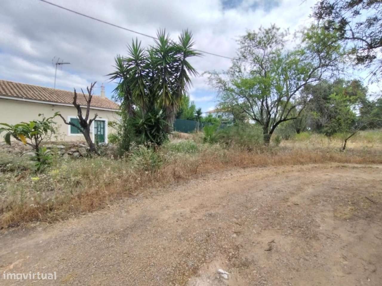 Terreno Rústico a 10km de Estoi-16