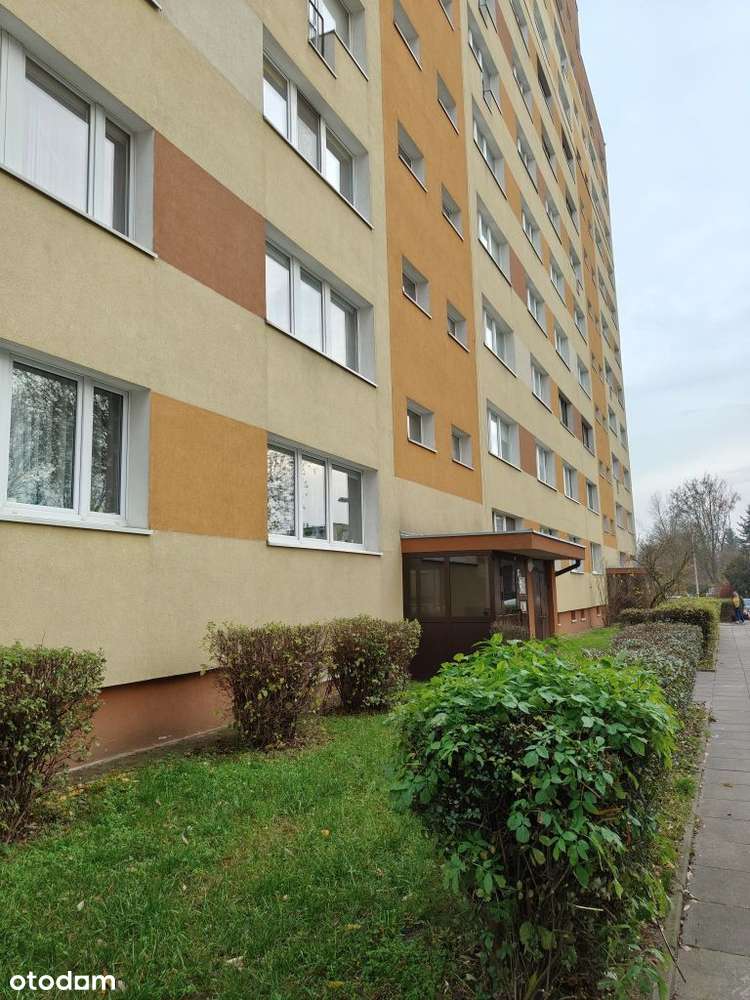 3 pokojowe mieszkanie w stylu klasycznym osiedle S-16