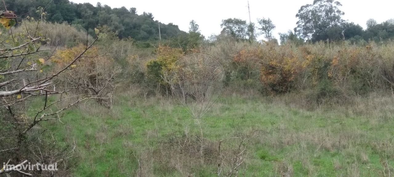 Terreno  para venda