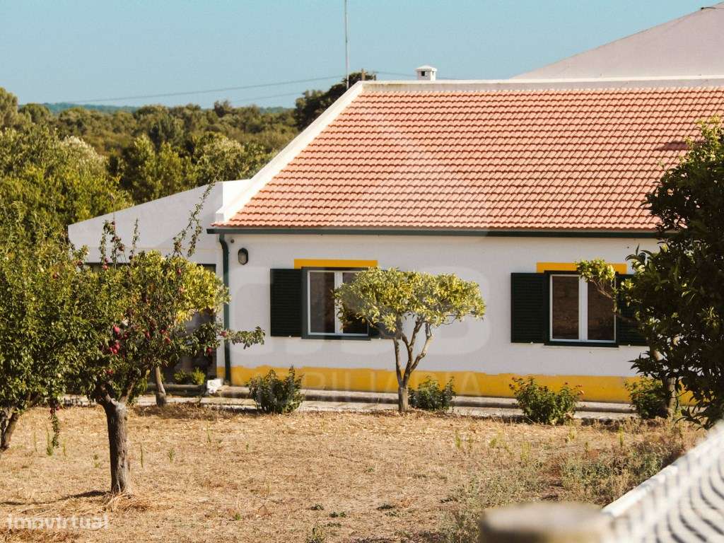 Quinta T5 na Branca - Grande imagem: 5/54