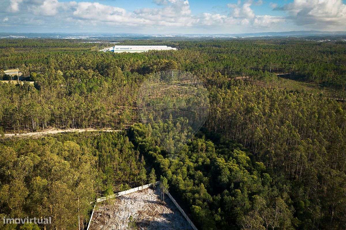 Terreno  para venda - Grande imagem: 5/19