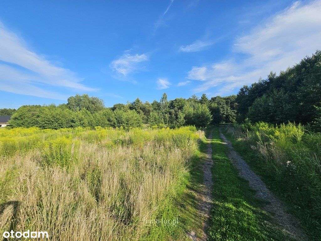 Chwalęcice, ul. Łąkowa - Pełny obrazek: 4/5