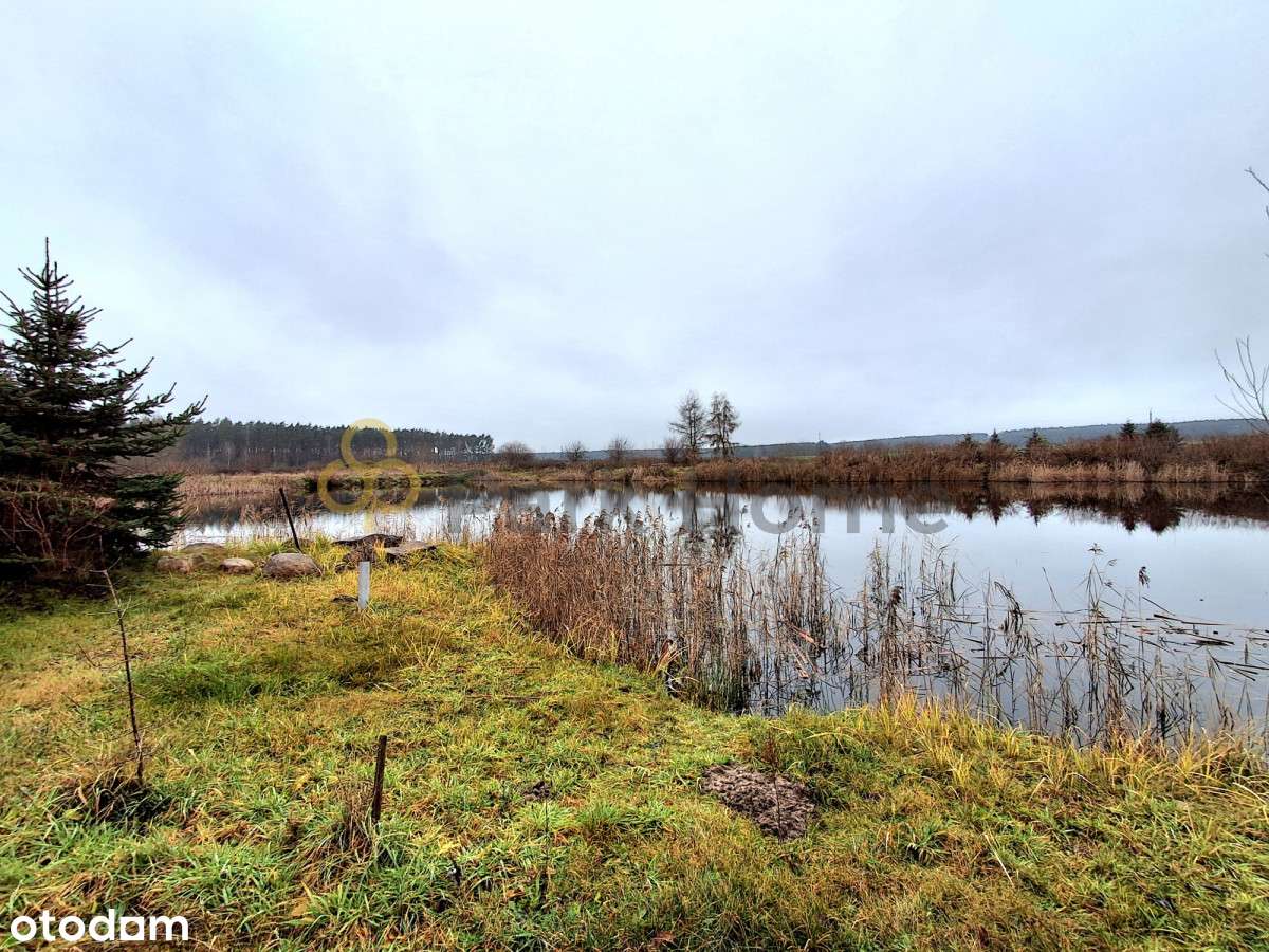 Wyjątkowy dom z własnym stawem - Pełny obrazek: 5/12