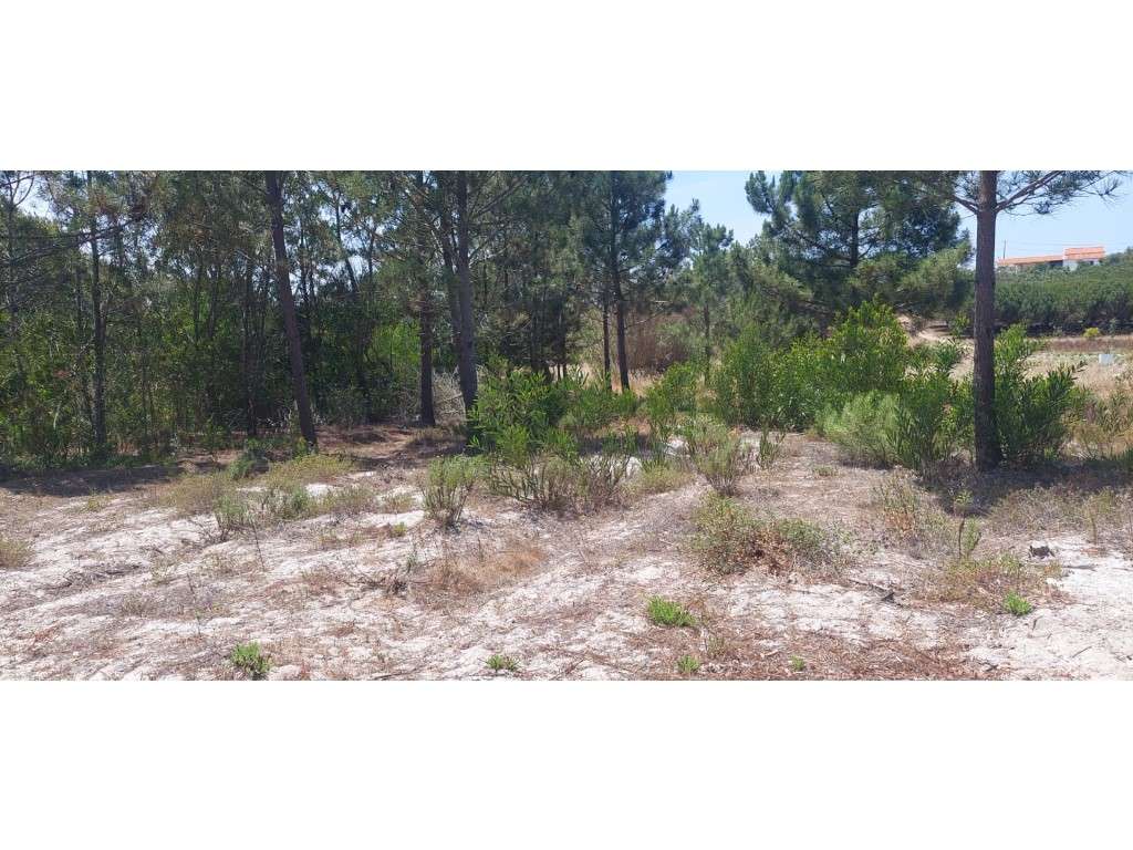 Terreno Rústico para Venda no Rogil, Aljezur - Grande imagem: 3/7
