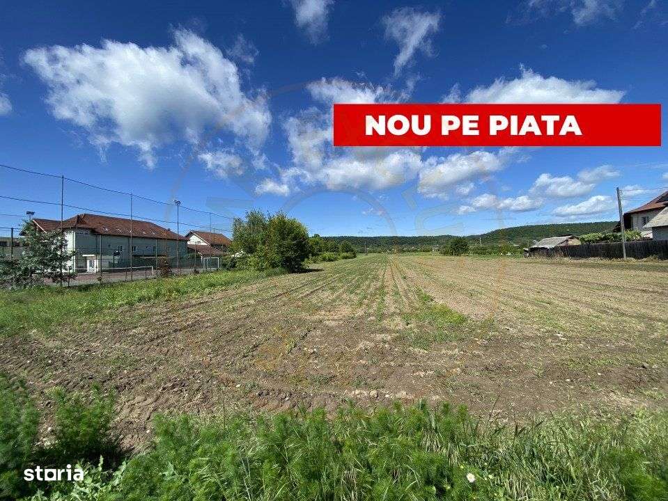 Teren intravilan 7.295 mp – Argeselu, Maracineni, AG - Imagine principală: 1/7