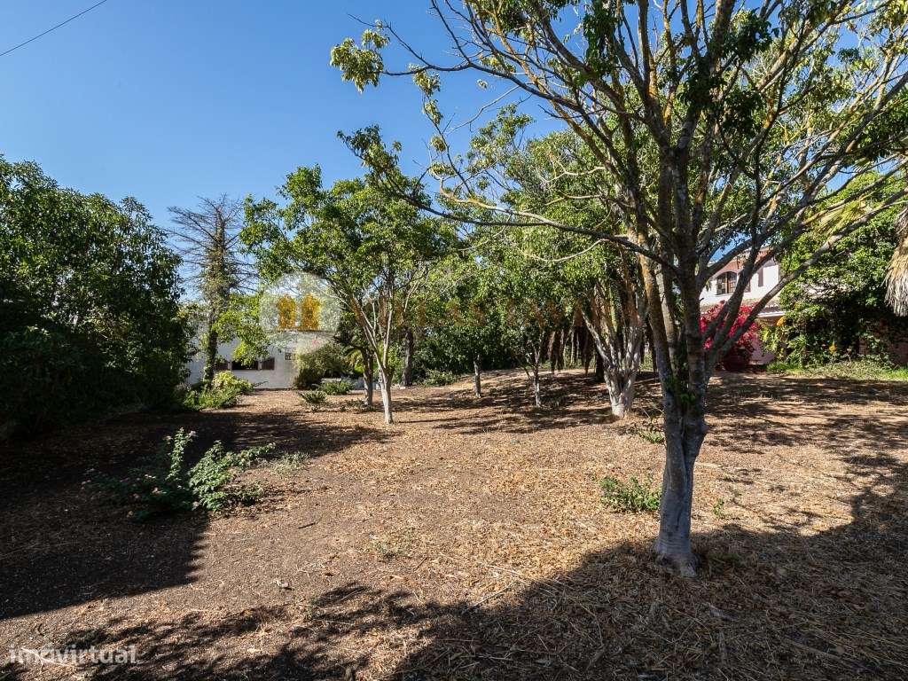 Quinta T4 - Praia de Altura-20